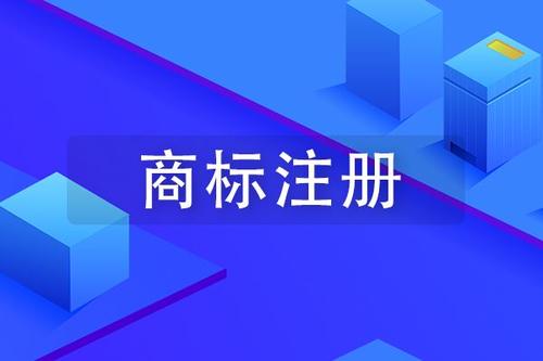注冊公司后為什么代辦公司會讓你