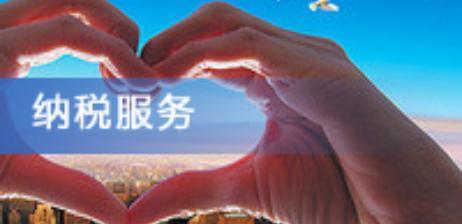 在納稅咨詢中稅控盤解鎖需要帶什