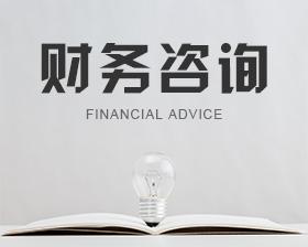 財(cái)務(wù)代理 財(cái)務(wù)代理